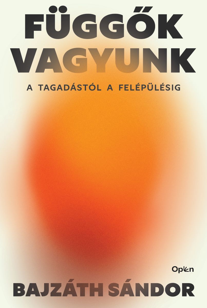 Bajzáth Sándor: Függők vagyunk – könyv borítóképe